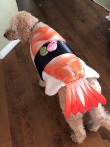 Peaches as a piece of sushi