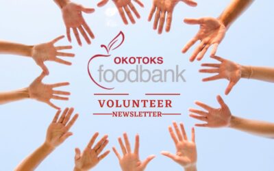 Volunteer Newsletter (Vol 1 – February 2022)