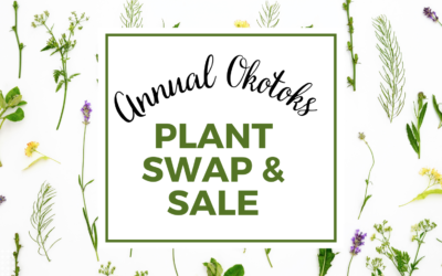 Annual Okotoks Plant Swap